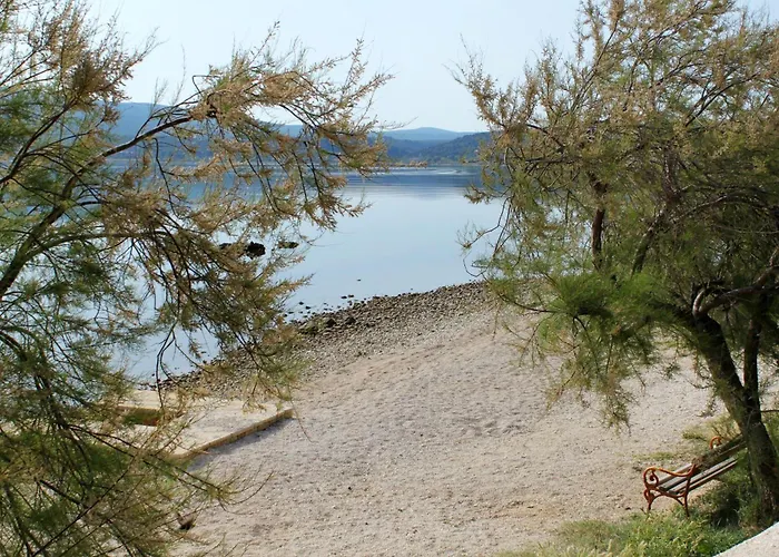 Apartamento With Parking Space - Cuskijas, Novigrad - 24025 Pridraga