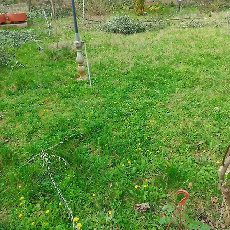 Appartement With Parking Space - Cuskijas, Novigrad - 24025